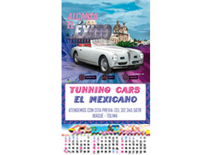 OCTAVO VEHICULOS 01S